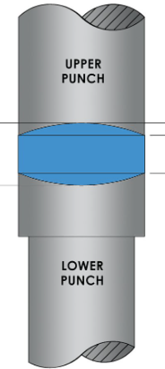 upper punch and lower punch