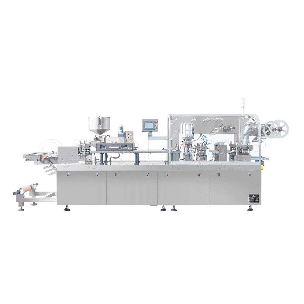 Picture of Blister Packing Machine DPP-260